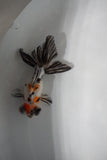 Juvenile Butterfly  Calico 3.5 Inch (ID#430B8c-14) Free2Day SHIPPING