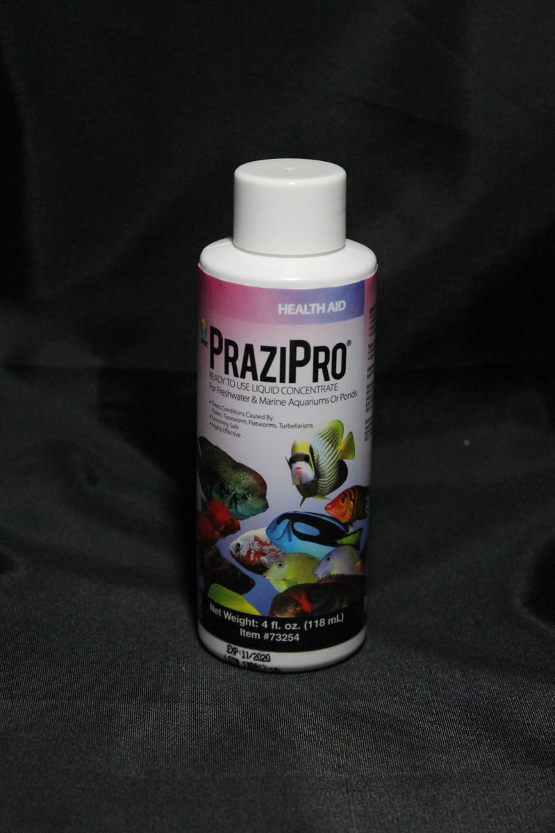 Hikari Prazipro 16oz （473ml）ヒカリ プラジプロ - ペット用品