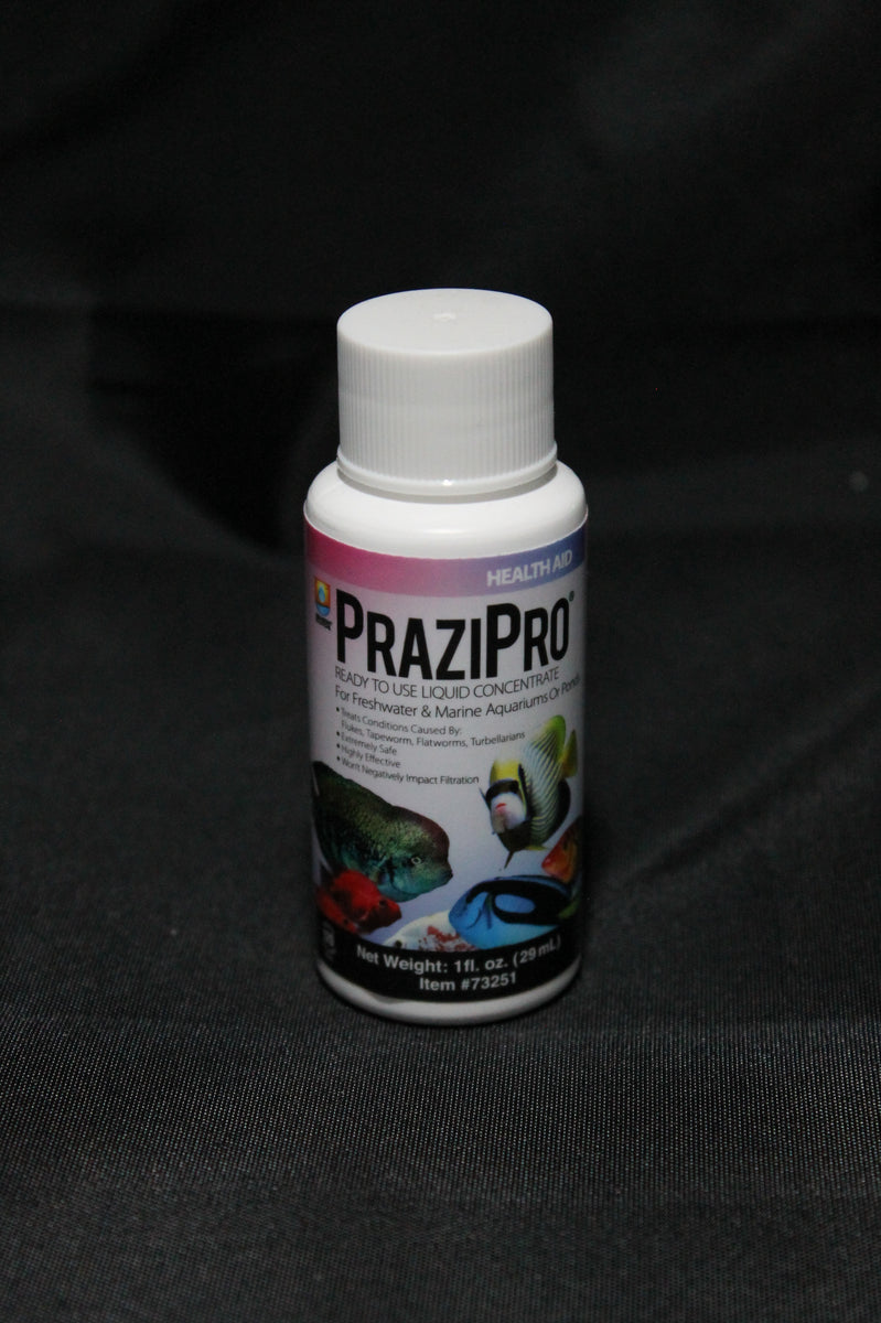 Hikari PraziPro (Liquid Concentrate) – King Koi and Goldfish