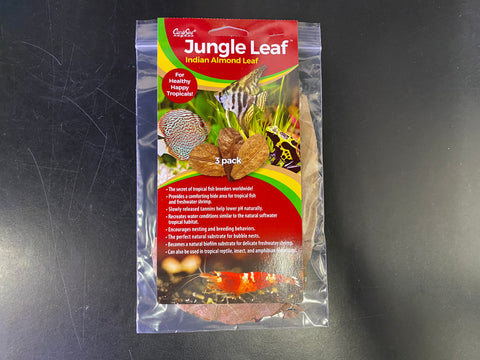 CaribSea Jungle Leaf - Indian Almond Leaf (3 Pack)