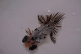 Butterfly  Calico 3.5 Inch (ID#1210B8b-59) Free2Day SHIPPING