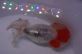 Lionhead  Red White 5 Inch (ID#311L9a-107) Free2Day SHIPPING