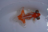 Butterfly  Red White 3.5 Inch (ID#318B8b-37) Free2Day SHIPPING
