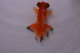 Butterfly  Red White 3.5 Inch (ID#318B8b-38) Free2Day SHIPPING