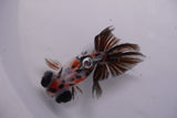 Butterfly  Calico 3.5 Inch (ID#0113B8b-36) Free2Day SHIPPING