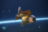 Short Body Thai Oranda  Bronze 3.5 Inch (ID#1115To14b-56) Free2Day SHIPPING