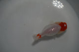 Tancho Lionchu  Red White 3.5 Inch (ID#1122R2c-57) Free2Day SHIPPING