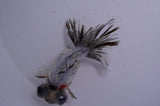Butterfly  Calico 3.5 Inch (ID#321B8b-34) Free2Day SHIPPING