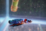 Candy Galaxy  Koi Plakat Male Betta (ID#801-M322) Free2Day SHIPPING