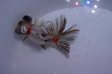 Butterfly  Calico 4 Inch (ID#321B8b-39) Free2Day SHIPPING