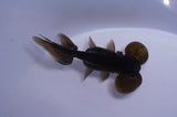 Bubble Eye  Chocolate 3.5 Inch (ID#321Be12c-83) Free2Day SHIPPING