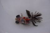 Butterfly  Calico 3 Inch (ID#1217B8b-42) Free2Day SHIPPING