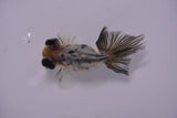 Butterfly  Calico 3 Inch (ID#1217B8b-46) Free2Day SHIPPING