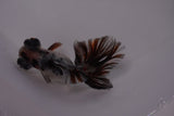 Butterfly  Calico 3.5 Inch (ID#1217B8b-48) Free2Day SHIPPING