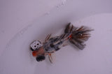 Butterfly  Calico 3.5 Inch (ID#408B8b-33) Free2Day SHIPPING