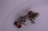 Butterfly  Calico 3.5 Inch (ID#408B8b-33) Free2Day SHIPPING