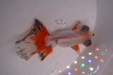 Butterfly  Red White 3.5 Inch (ID#408B8b-38) Free2Day SHIPPING