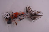 Butterfly  Calico 3.5 Inch (ID#408B8b-39) Free2Day SHIPPING