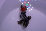 Butterfly  Calico 3.5 Inch (ID#228B8b-45) Free2Day SHIPPING