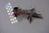 Butterfly  Calico 3.5 Inch (ID#1227B8b-43) Free2Day SHIPPING