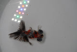 Butterfly  Calico 3.5 Inch (ID#1231B8b-41) Free2Day SHIPPING