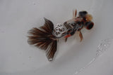 Butterfly  Calico 3.5 Inch (ID#1220B8b-44) Free2Day SHIPPING