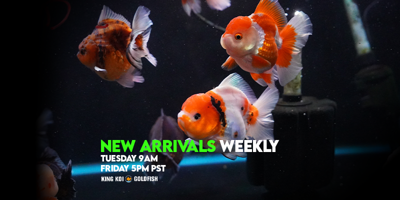 Last Upload Tuesday 12/9