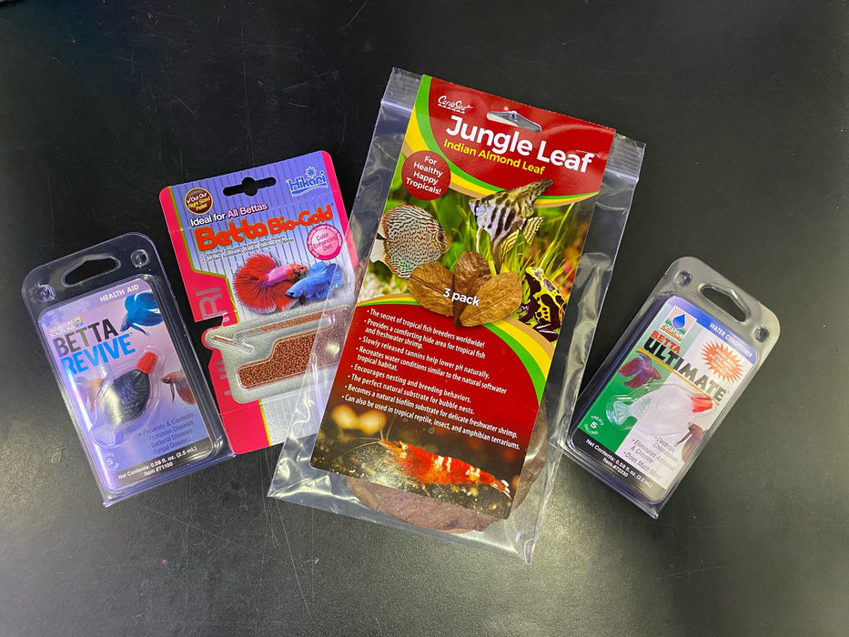 Betta Starter Bundle