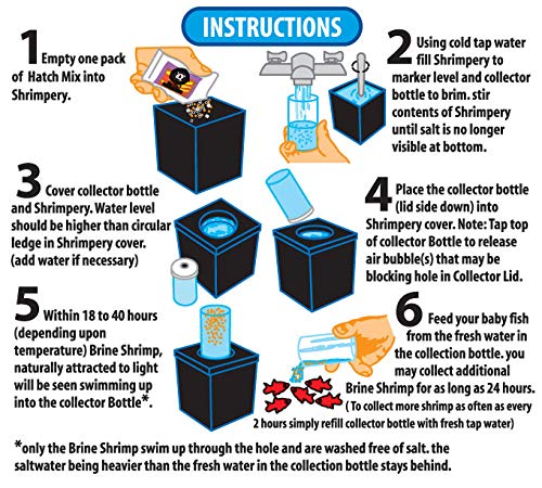 San Francisco Bay Brand Shrimpery Educational Brine Shrimp Kit
