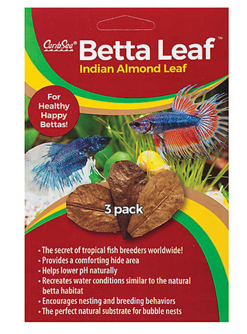 products/Betta_Leaf_5f344134-b8de-4a0d-bedf-d56fd47dd1bd.jpg