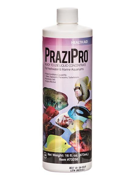 Hikari PraziPro (Liquid Concentrate)