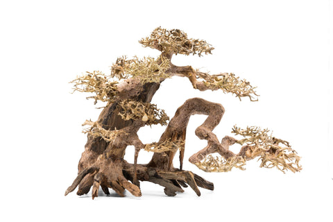 OLD 915 Aquarium Bonsai Tree - Extra Large 603XL - IN STORE PICK UP ONLY