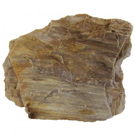 Petrified Wood (by the lb) - IN STORE PICK UP ONLY